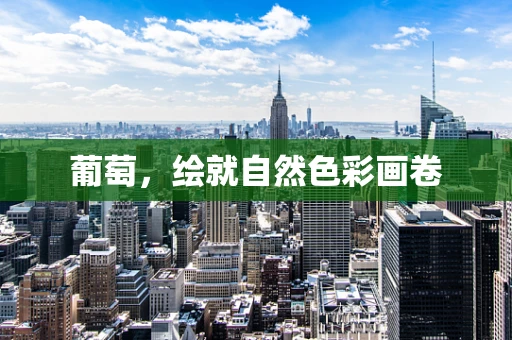 葡萄，繪就自然色彩畫卷